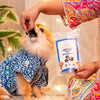 Floofyou Mini Floofio Chicken Oven Baked Cookie Dog Treats Dog Treats + Others FloofYou