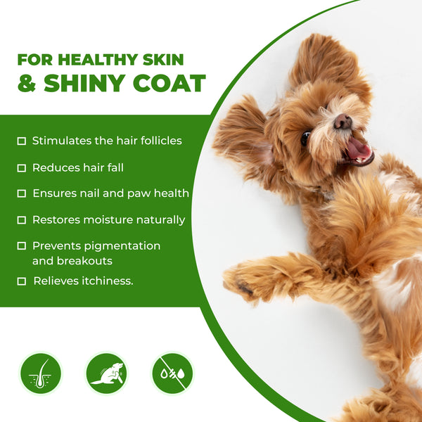 FurBall Story Cannivin Healthy Skin & Shiny Coat Spray for Dogs