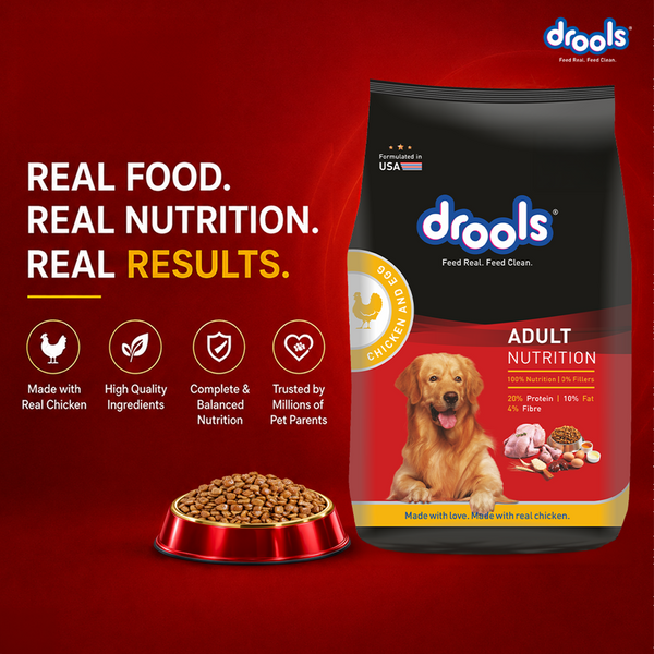 Drools Chicken and Egg Adult Dog Dry Food
