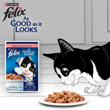 Purina Felix Salmon with Jelly Adult Complete and Balanced Cat Wet Food