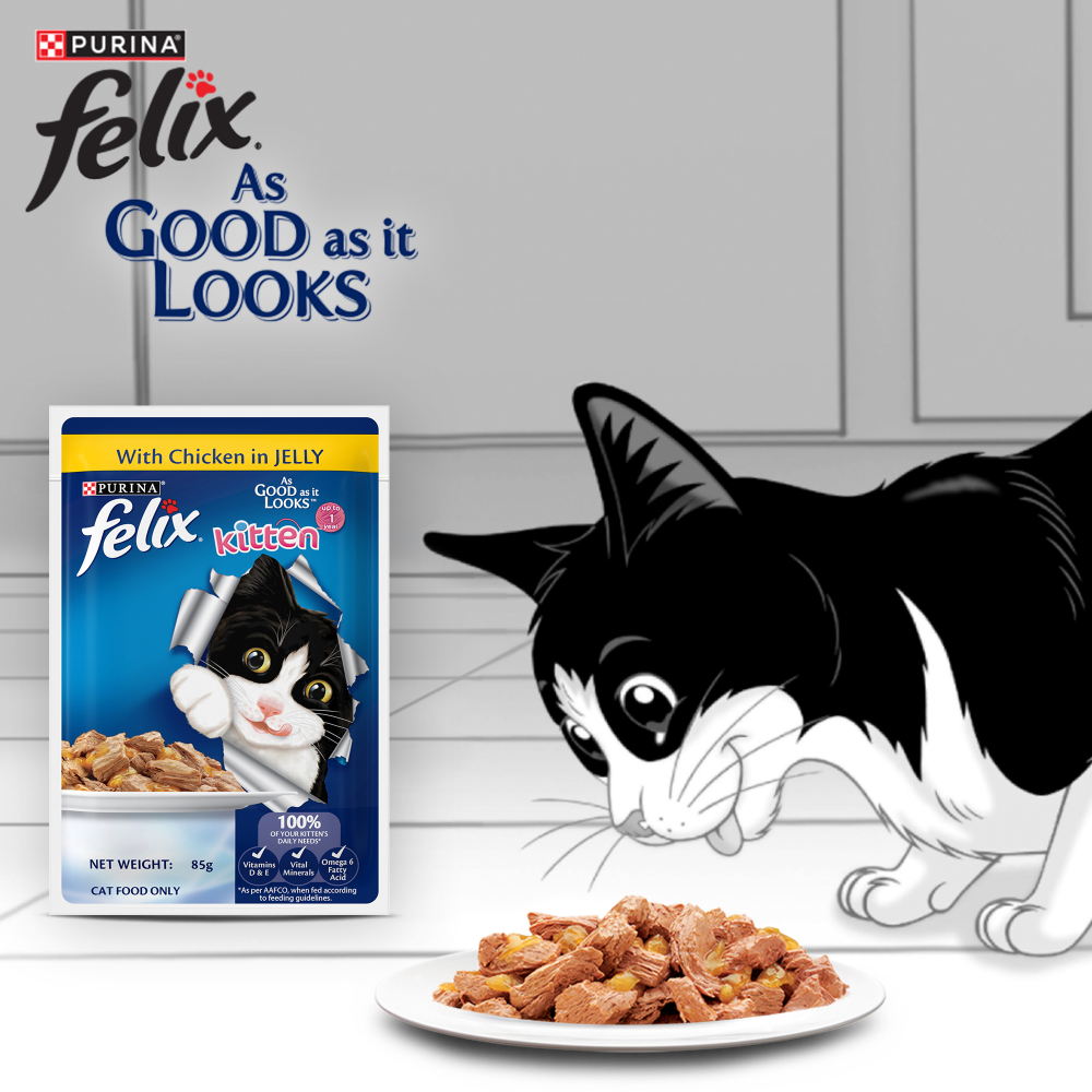 Purina Felix Chicken with Jelly Kitten Cat Wet Food