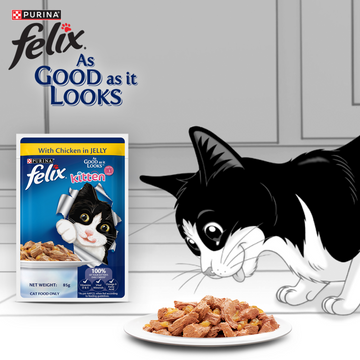 Purina Felix Chicken with Jelly Complete and Balanced Kitten Cat Wet Food