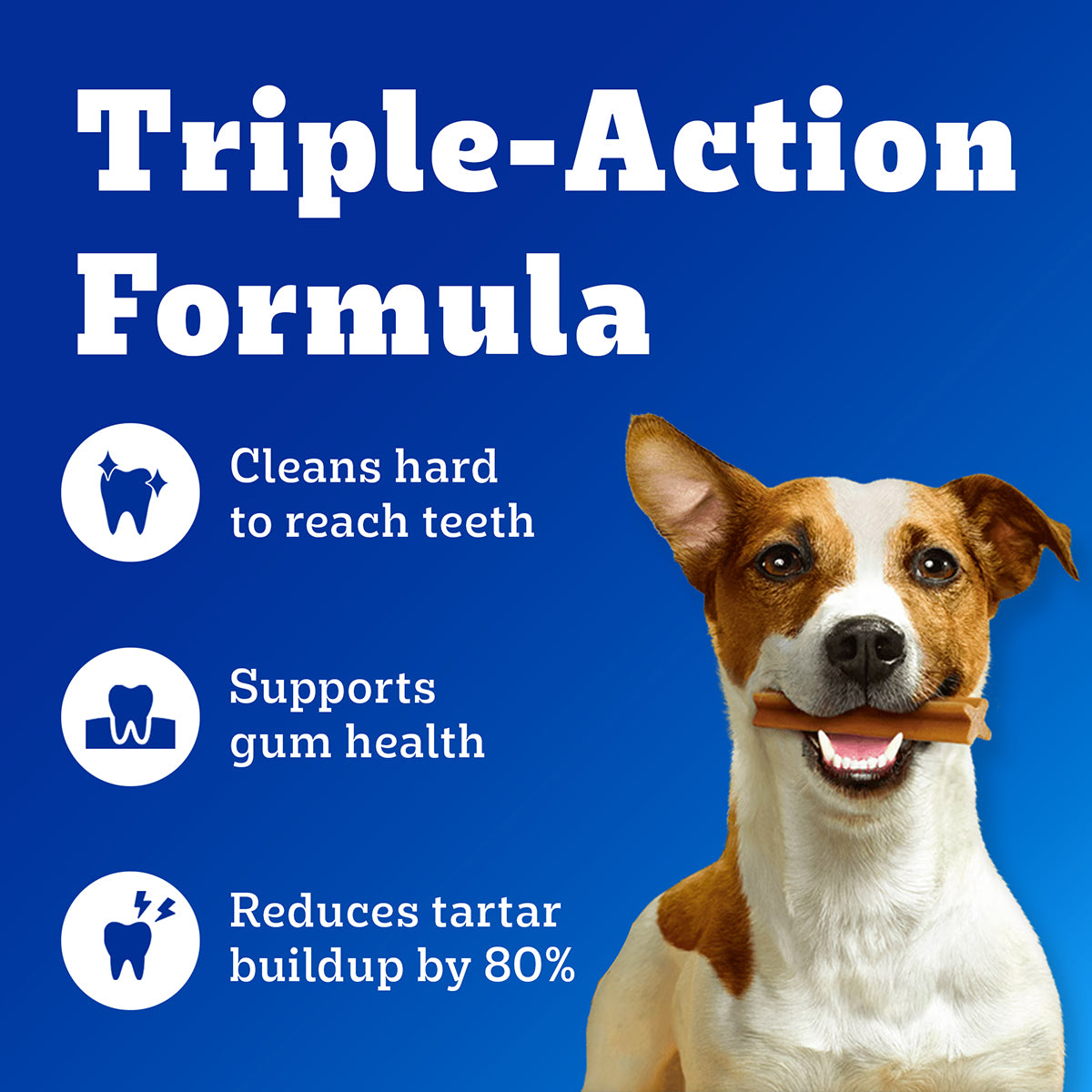 Pedigree Dentastix Oral Care for Adult (Medium Breed of 10 to 25 kg) Dog Treats