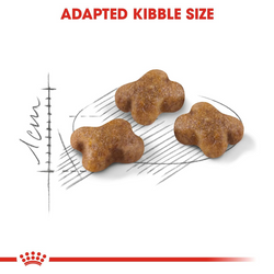 Healthy Kitten Nutrition Pack | Royal Canin Kitten Food with Sheba Wet Meals & Supplements Cats- Dry food Royal Canin