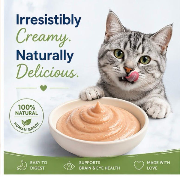 Hachi Wilson Chicken Mousse Wet Food for Cats & Kittens