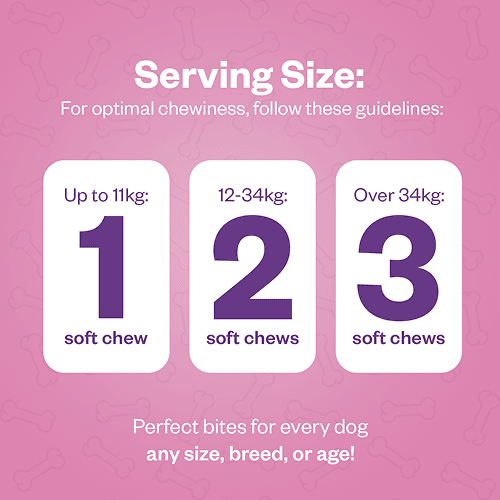 TailsAlive Skin & Coat Soft Chews Supplement for Dogs