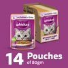 Whiskas Adult Cat Food Combo |Ocean Fish Dry & Salmon in Gravy Wet Cats- Dry food Whiskas