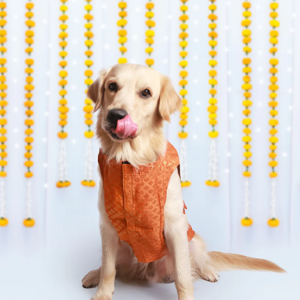 Pet Set Go Kurta with Bowtie for Dogs (Orange) Dogs-Clothing & Accessories Pet Set Go Dropship