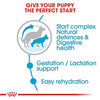 Royal Canin Maxi Starter Dog Dry Food Sample Royal Canin