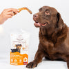 Floofyou Air Dried Chicken Neck Crunchy Dental Chew Dog Treats Dog Treats + Others FloofYou