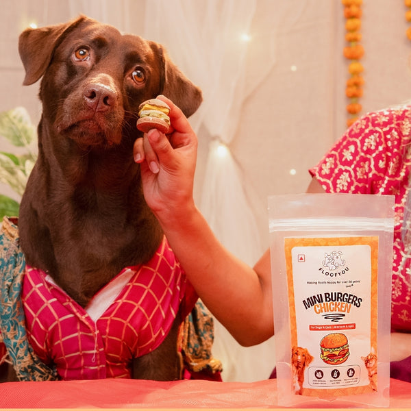 Floofyou Mini Burger Chicken Oven Baked Cookie Dog Treats