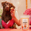 Floofyou Mini Burger Chicken Oven Baked Cookie Dog Treats Dog Treats + Others FloofYou