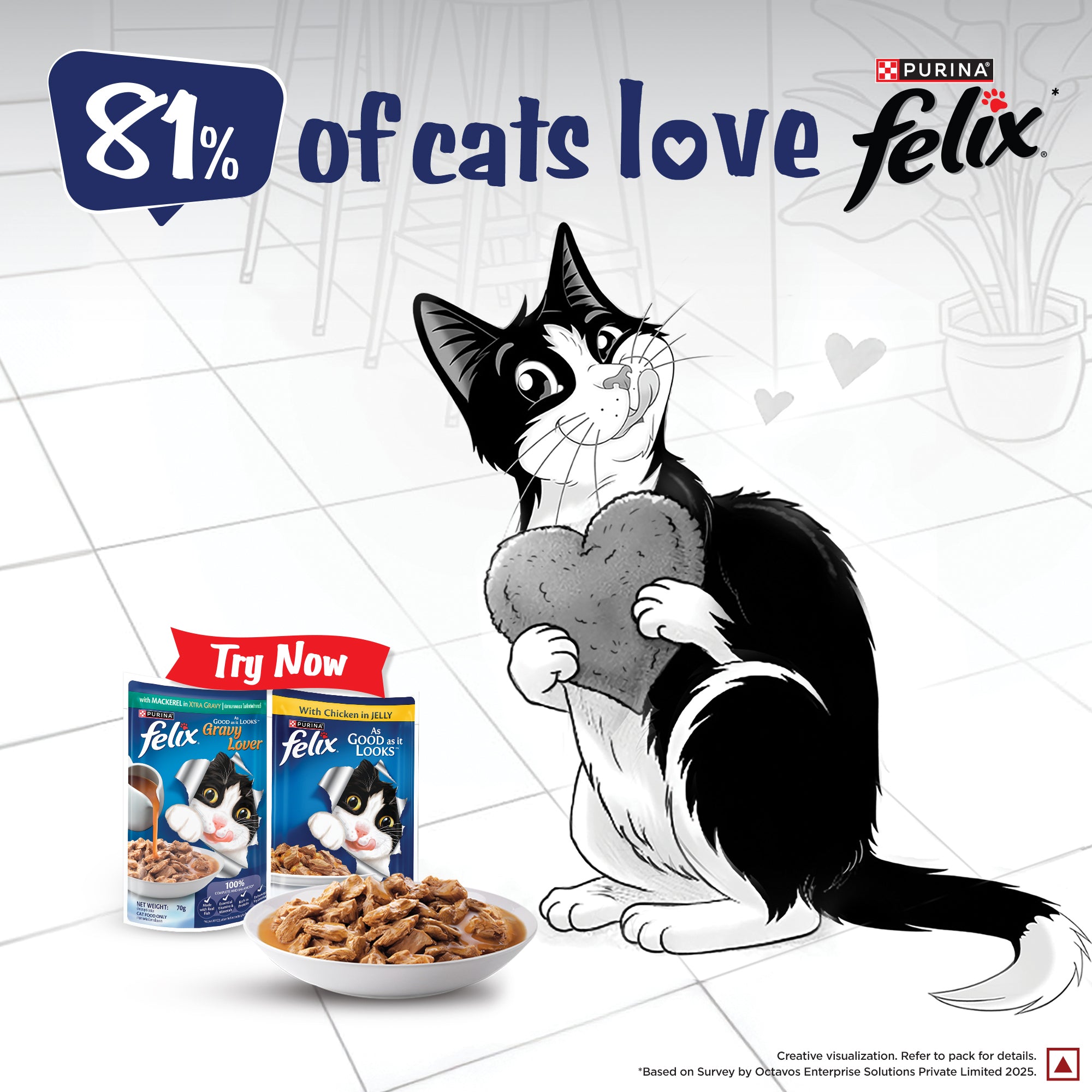 Purina Felix Gravy Lover Mackerel Chunks Complete and Balanced Adult Cat Wet Food Cats-Wet Food Felix