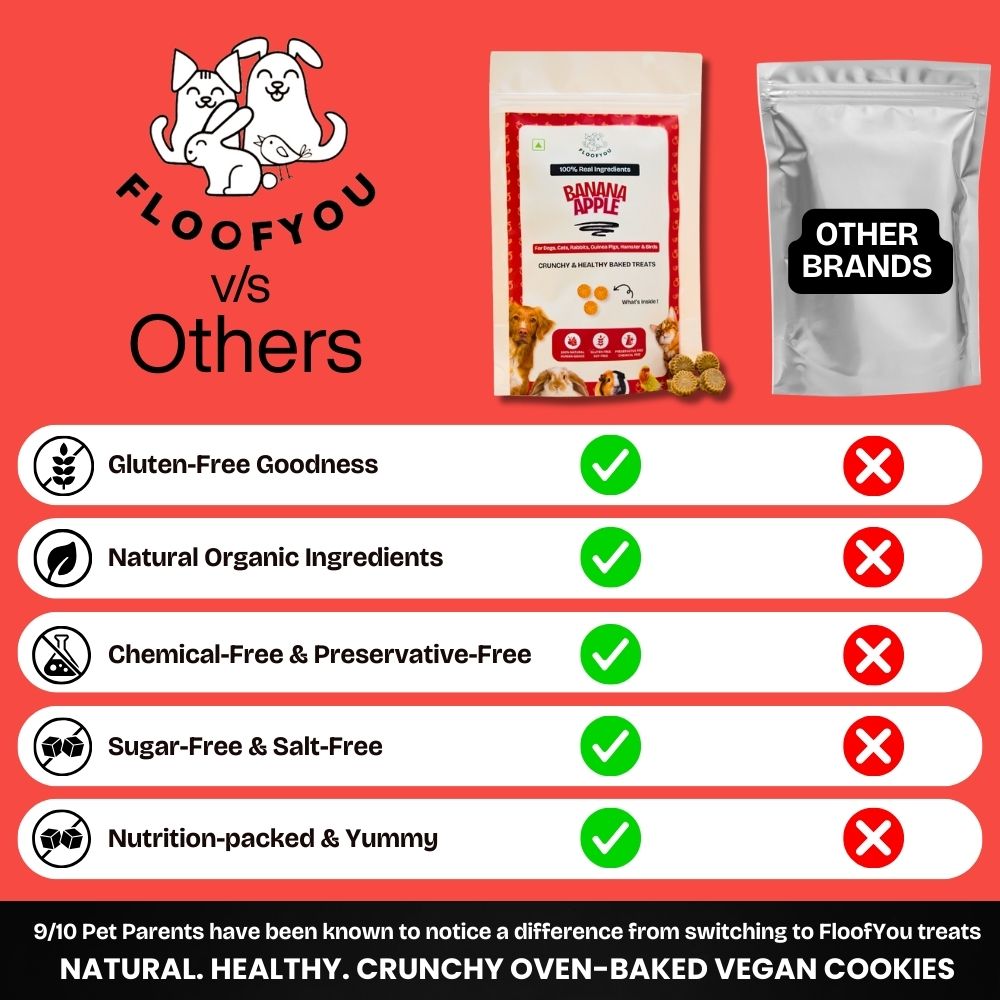 FloofYou Oven Baked Banana Apple Small Animal Treats Rabbits FloofYou