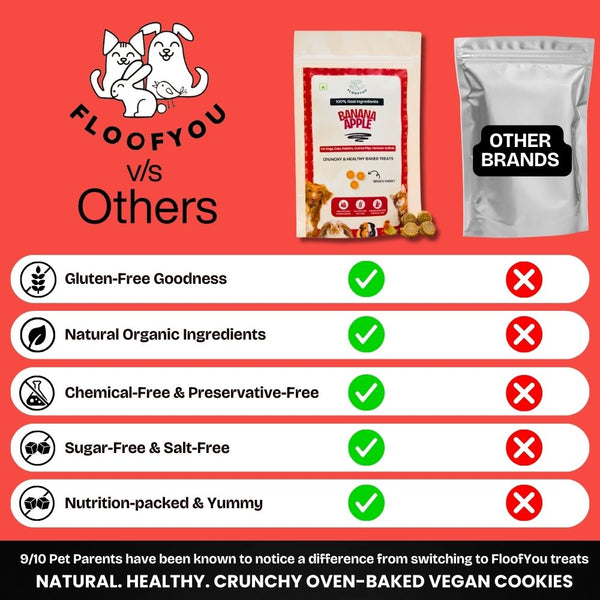 FloofYou Oven Baked Banana Apple Small Animal Treats