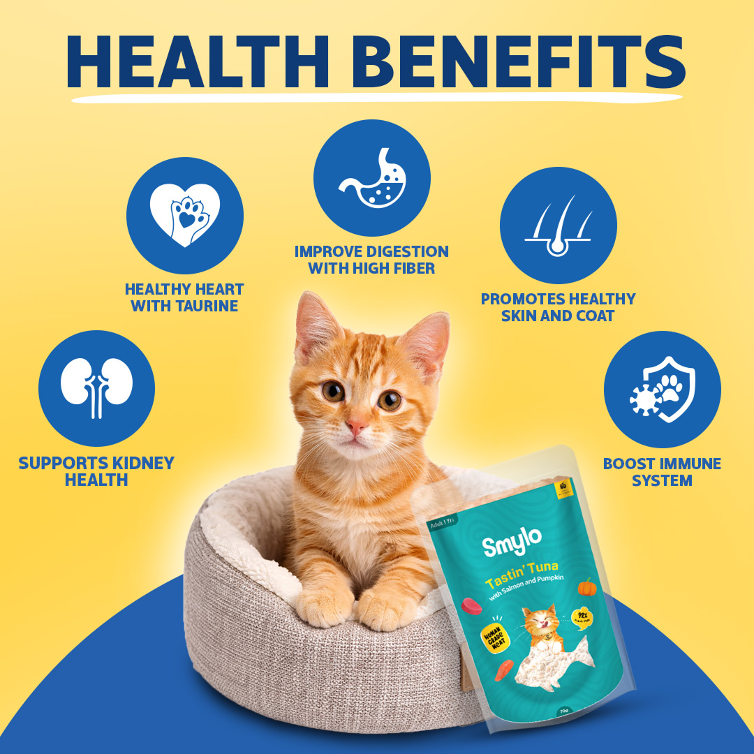 Smylo Kitten Trial Box, Tuna & Chicken, Fresh & No-Preservative Wet Cat Food Cats-Wet Food Smylo