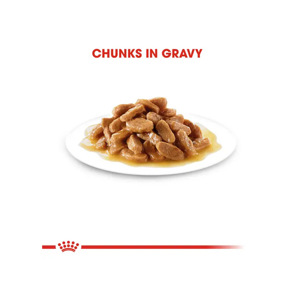 Royal Canin Mini Puppy Dog Wet Food