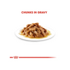 Royal Canin Mini Puppy Dog Wet Food Rewards Dogs-Wet Food Royal Canin