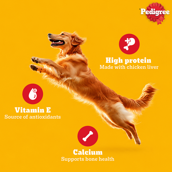 Pedigree Chicken Flavour Tasty Jerky Dog Treat