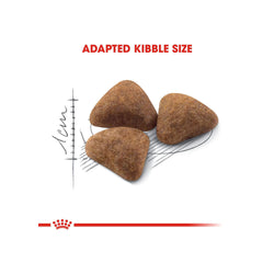 Royal Canin Indoor 27 Dry Cat Food Cats- Dry food Royal Canin