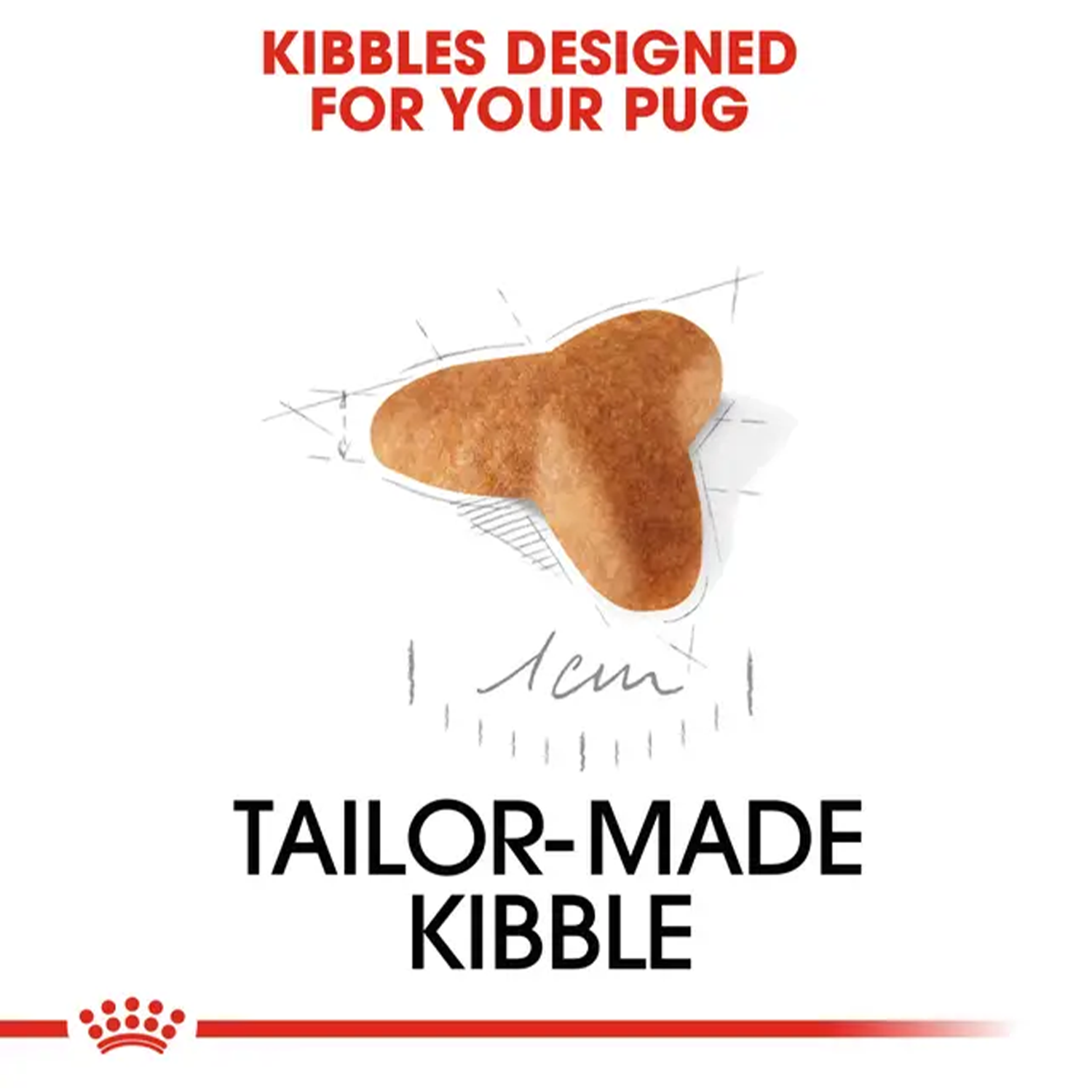 Royal Canin Pug Junior Dog Dry Food Dogs- Dry Food Royal Canin