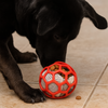 Talking Dog Pop Hollow Elastic Interactive Busy Ball Toy for Dogs (Red) Dogs-Toys Talking Dog Club Dropship