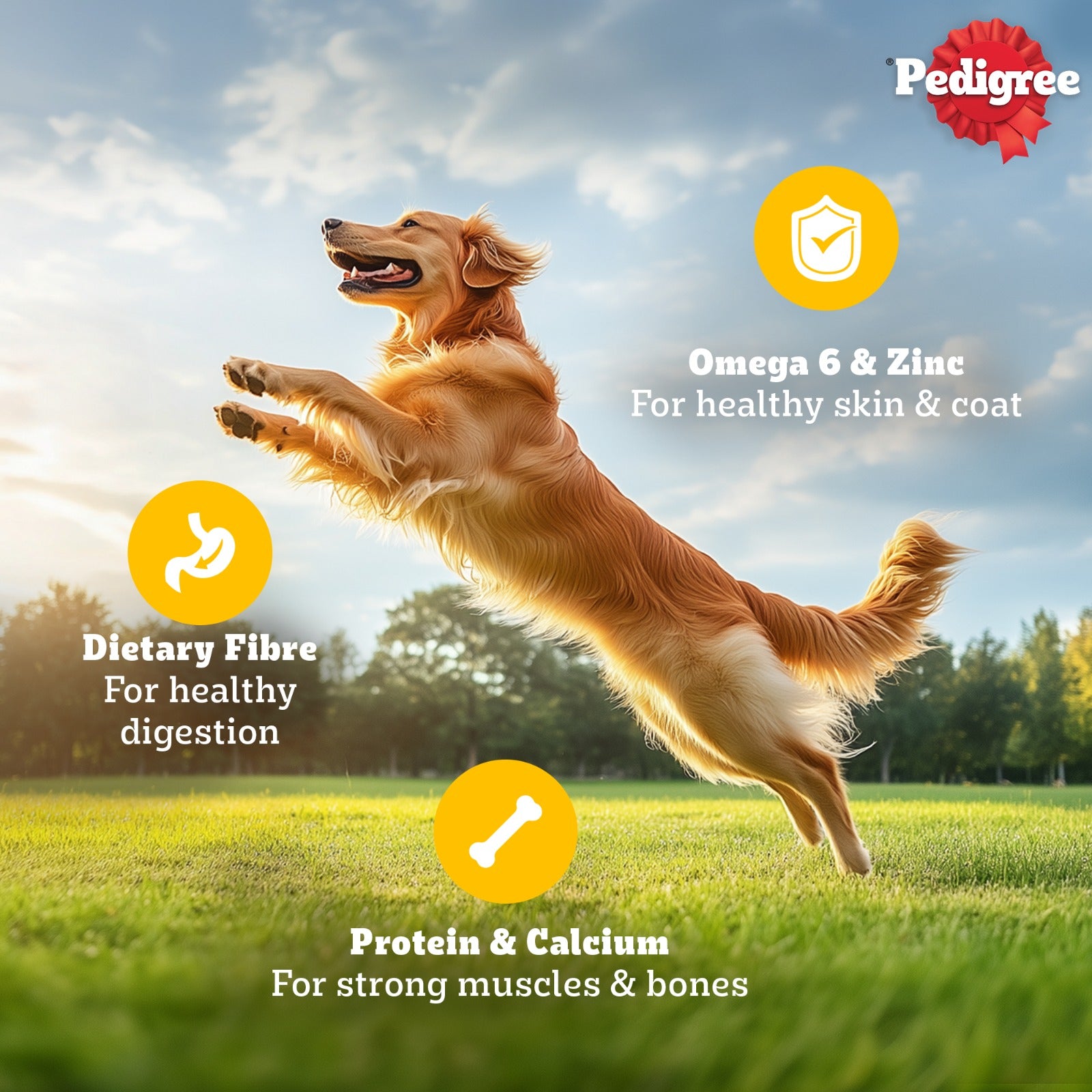 Pedigree Chicken and Liver Chunks in Gravy Adult Dog Wet Food (130g) Dogs-Wet Food Pedigree