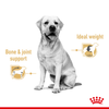 Royal Canin Chunks In Gravy Labrador Retriever Adult Dog Wet Food Dogs-Wet Food Royal Canin