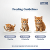 Kitty Yum Chicken Mousse Kitten Cat Wet Food Cats-Wet Food Kitty Yums