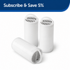 PetSafe Drinkwell Stainless Steel 360 Replacement Filter for Pet Fountain for Dogs and Cats Both-Bowls & Feeders Petsafe Dropship