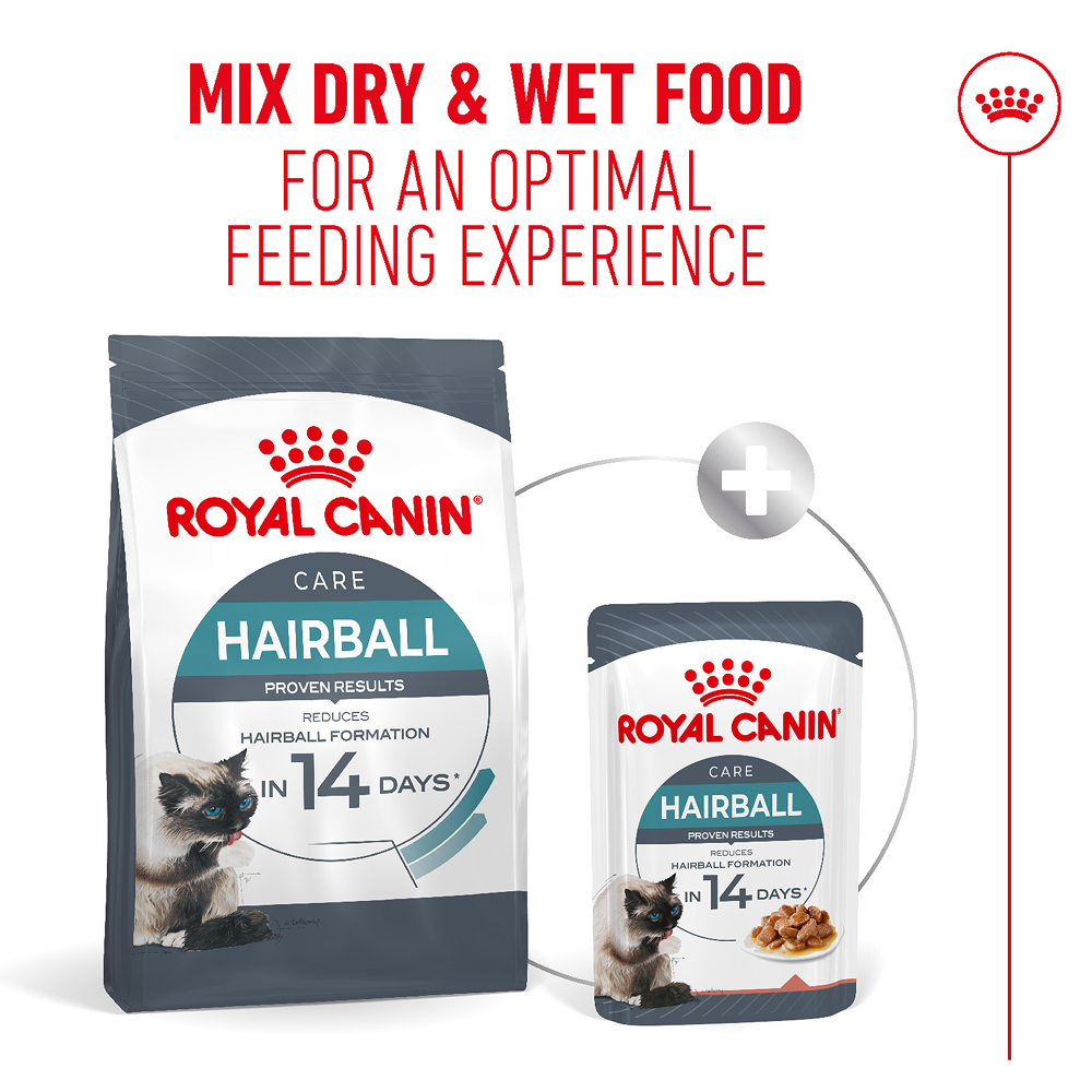 Royal Canin Hairball Care Food for Adult Cat Dry Food Cats- Dry food Royal Canin