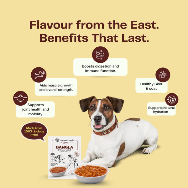 Pawfectly Made By Licious Bangla Macher Jhol Gravy Adult Dog Wet Food