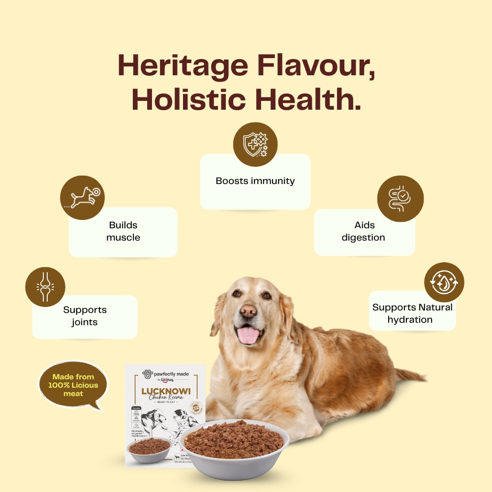 Pawfectly Made By Licious Lucknowi Chicken Keema Gravy Adult Dog Wet Food Dogs-Wet Food Pawfectly Made By Licious