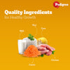 Pedigree Chicken and Milk Puppy Dog Dry Food Dogs- Dry Food Pedigree