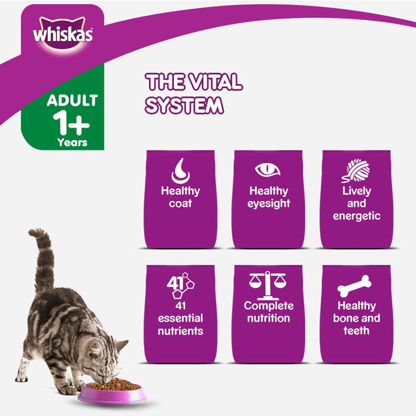Whiskas Ocean Fish and Tuna Flavour Adult Cat Dry Food Combo