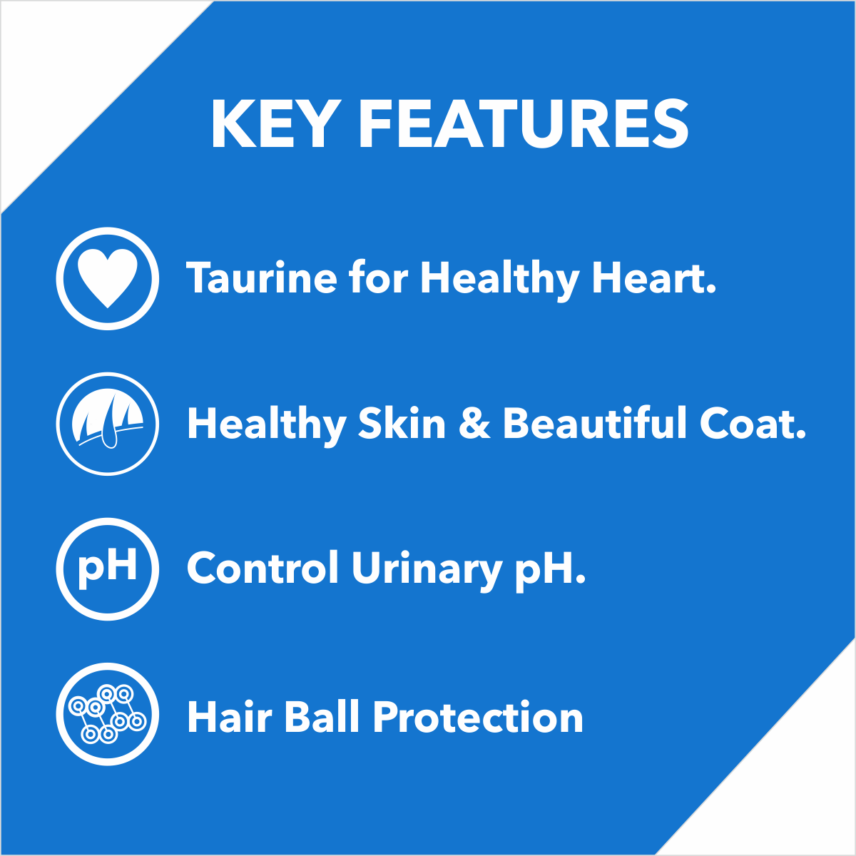 Drools Ocean Fish Kitten Cat Dry Food Cats- Dry food Drools