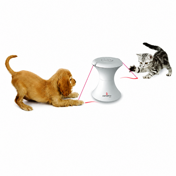 PetSafe FroliCat Dart Automatic Rotating Laser Toy for Cats