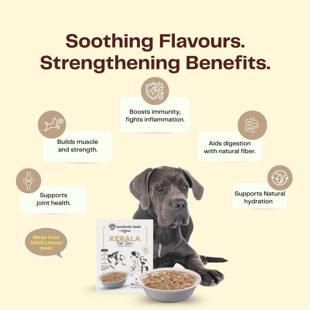 Pawfectly Made By Licious Kerala Fish Stew Gravy Adult Dog Wet Food Dogs-Wet Food Pawfectly Made By Licious