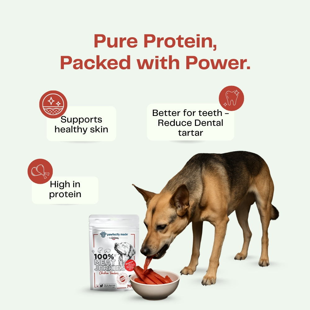Pawfectly Made By Licious Dehydrated Chicken Tender Jerky Dog Treat Dog Treats + Others Pawfectly Made By Licious