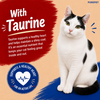 Purepet Crab and Chicken Lickable Creamy Treats for Cats Cats-Treats & Others Purepet