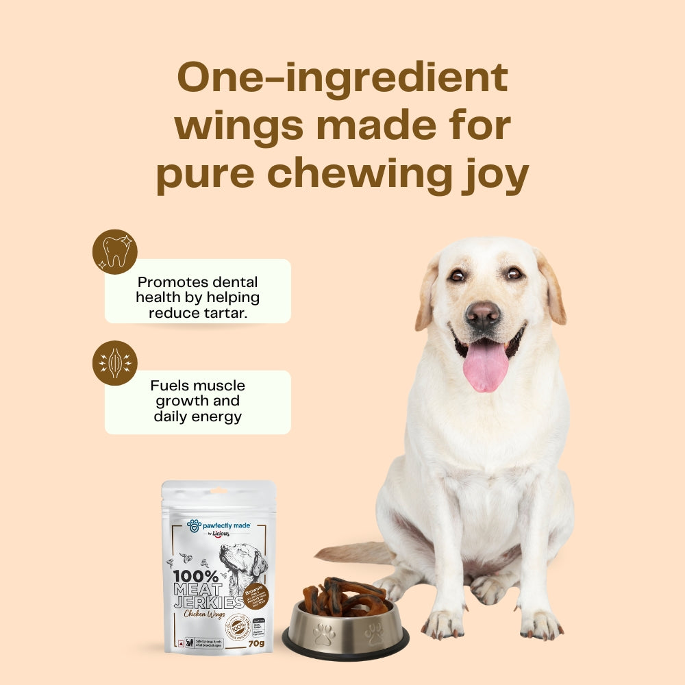 Pawfectly Made By Licious Dehydrated Chicken Wings Jerky Dog Treat Dog Treats + Others Pawfectly Made By Licious