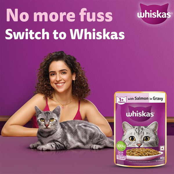 Whiskas Adult Cat Food Combo |Ocean Fish Dry & Salmon in Gravy Wet