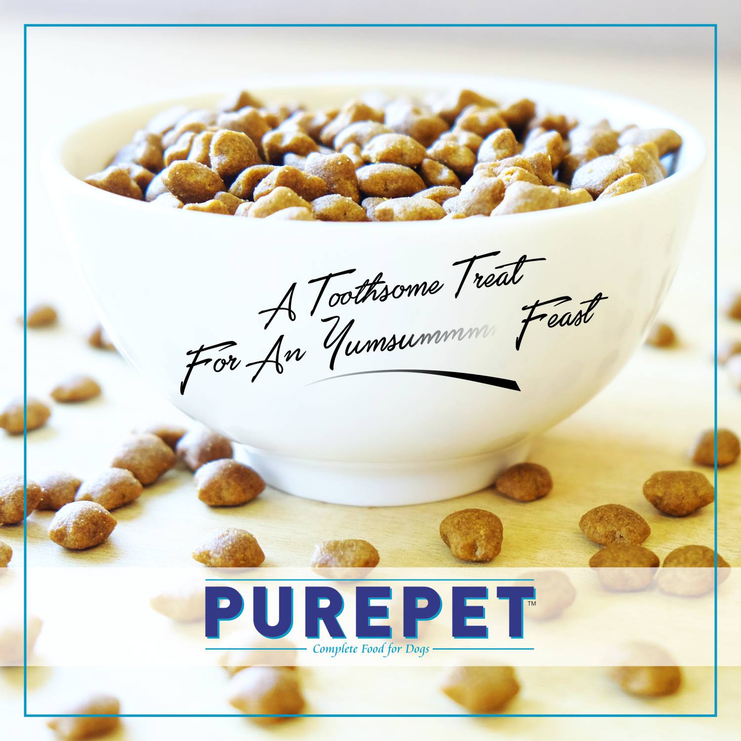 Purepet Ocean Fish Kitten Dry Food Cats- Dry food Purepet