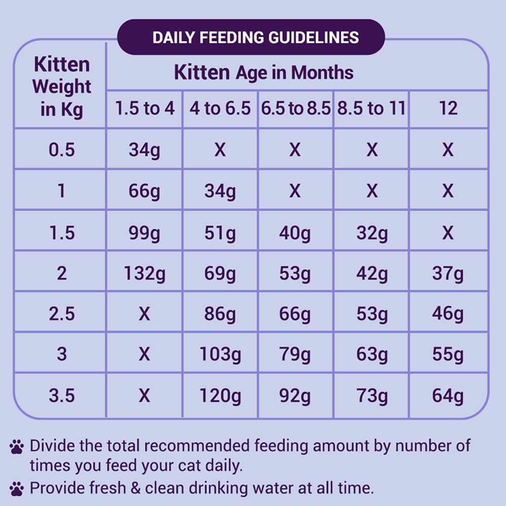 Purrfeto Chicken and Rice Kitten Cat Dry Food Cats- Dry food Purrfeto