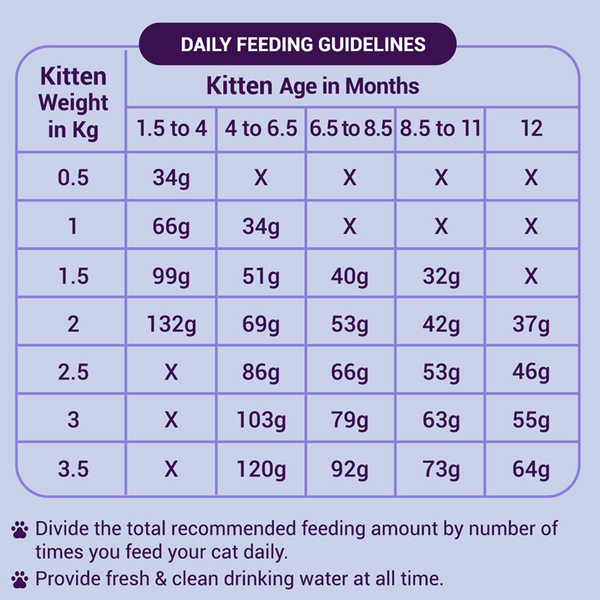 Purrfeto Chicken and Rice Kitten Cat Dry Food