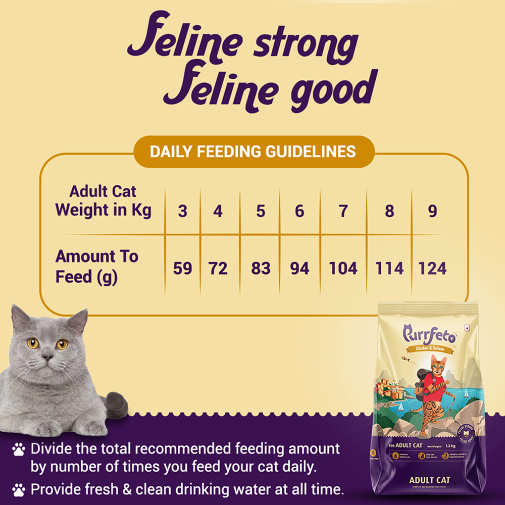 Purrfeto Chicken and Salmon Adult Cat Dry Food Cats- Dry food Purrfeto