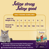 Purrfeto Chicken and Salmon Adult Cat Dry Food Cats- Dry food Purrfeto