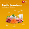 Pedigree Meat & Milk and Chicken Chunks in Gravy Puppy Dry and Wet Food Combo Exclusive Combo Pedigree