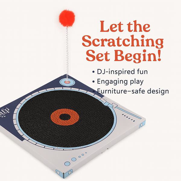 Talking Dog Club Vynil Scratcher Toy for Cats (Black)