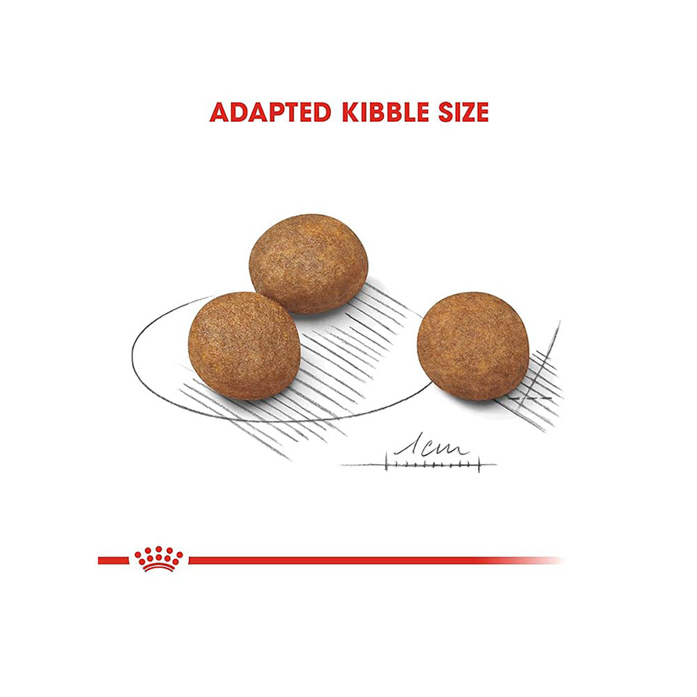 Royal Canin Maxi Puppy Dog Dry Food Dogs- Dry Food Royal Canin